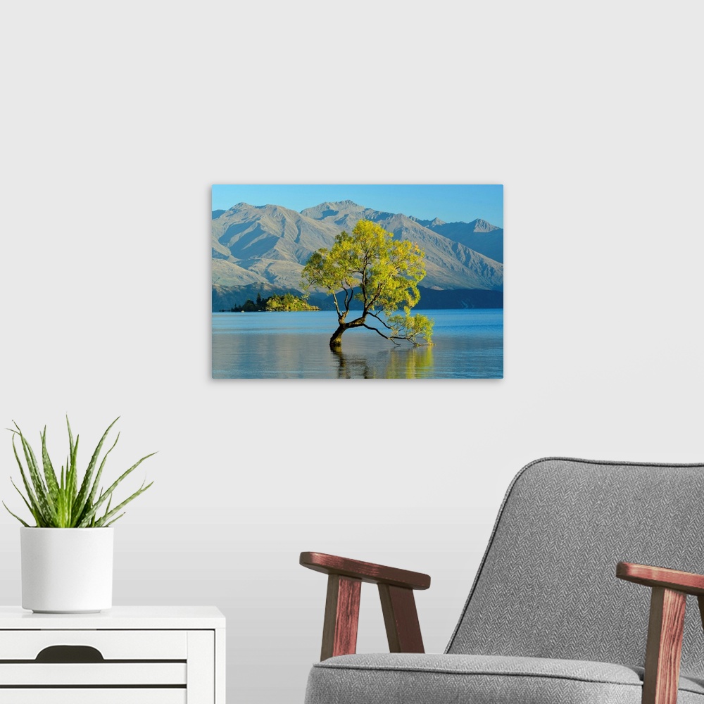 A modern room featuring Oceania, New Zealand, Aotearoa, South Island, Wanaka, Lake Wanaka, Tree In Water