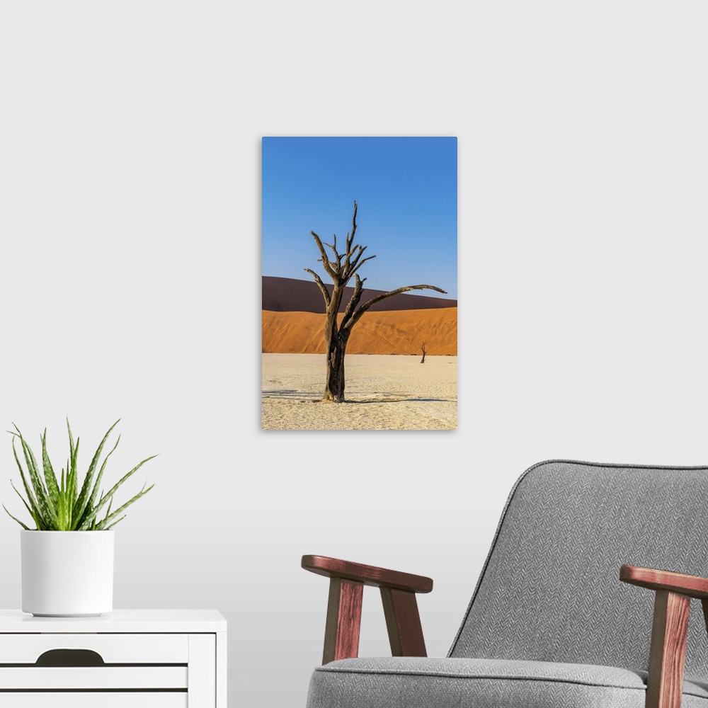 A modern room featuring Old dead tree, Deadvlei, Namib-Naukluft National Park, Sesriem, Namibia