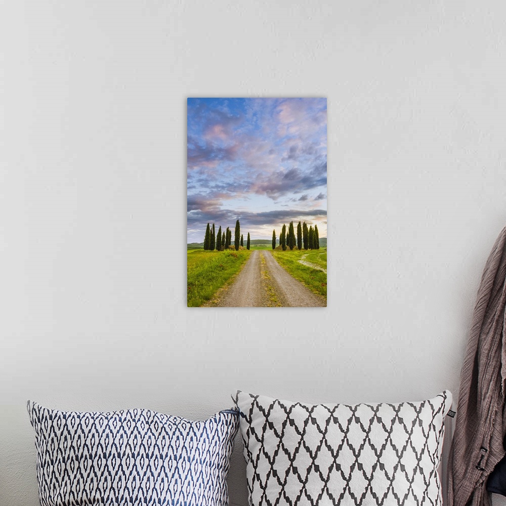A bohemian room featuring Orcia Valley, Tuscany, Italy. Tuscan hills at sunrise.