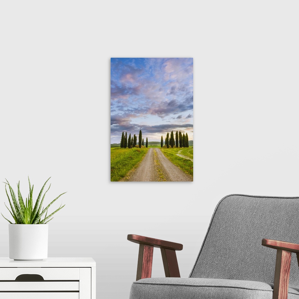 A modern room featuring Orcia Valley, Tuscany, Italy. Tuscan hills at sunrise.