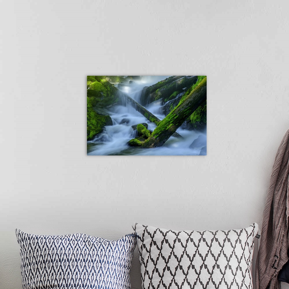 A bohemian room featuring USA, Oregon, National Creek Falls
