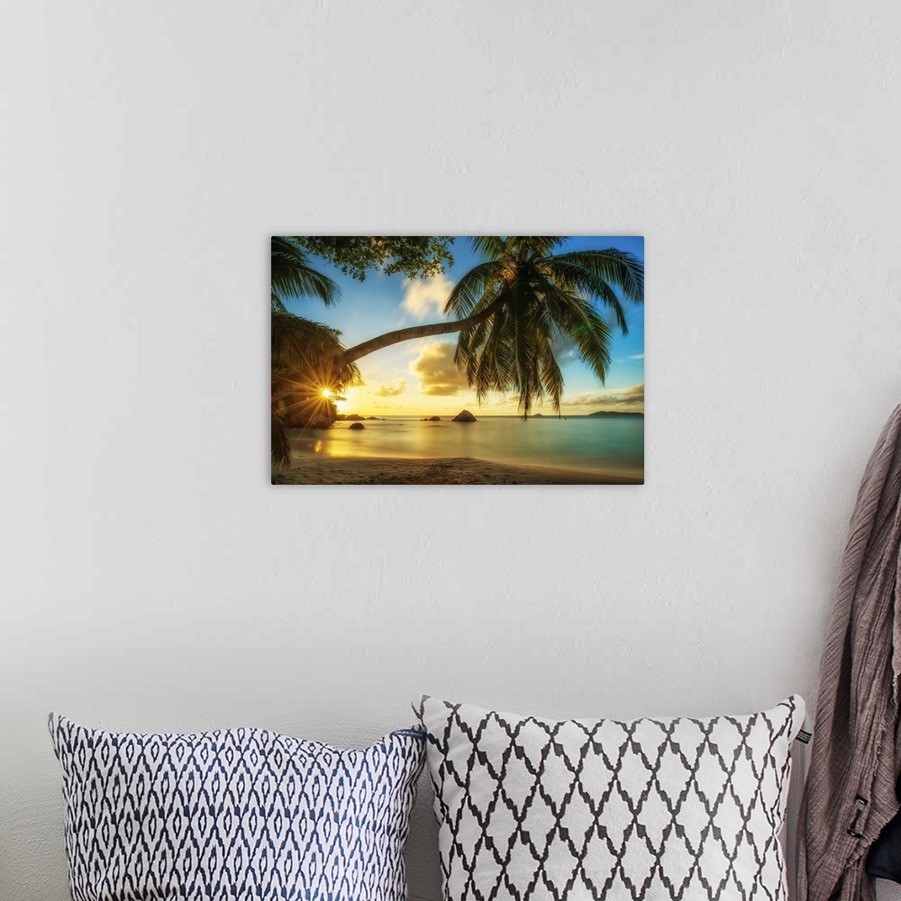 A bohemian room featuring Palm Tree At Sunset, Anse Lazio Beach, Praslin, Seychelles