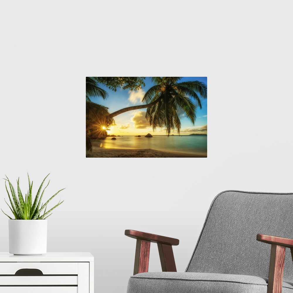 A modern room featuring Palm Tree At Sunset, Anse Lazio Beach, Praslin, Seychelles
