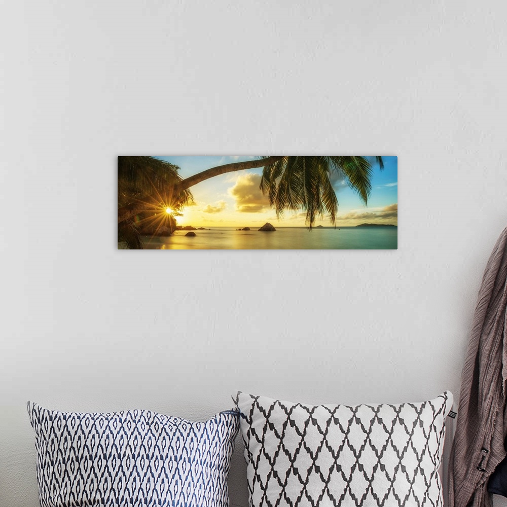 A bohemian room featuring Palm Tree At Sunset, Anse Lazio Beach, Praslin, Seychelles