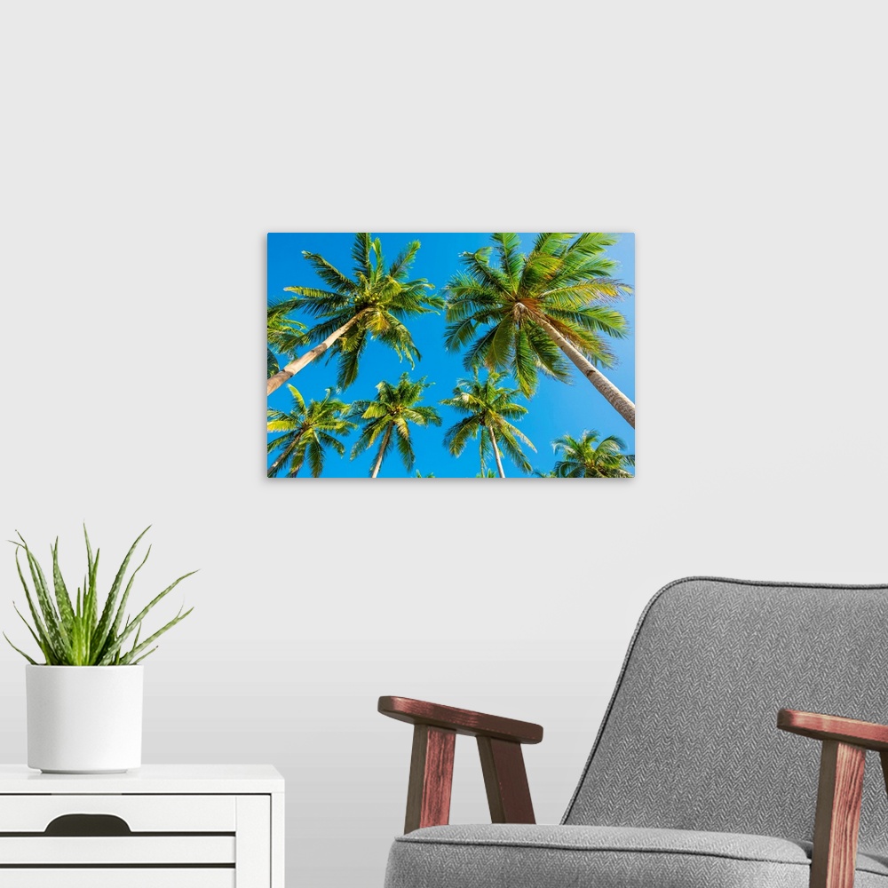 A modern room featuring Palm trees and blue sky, Nacpan Beach, El Nido, Palawan, Philippines.