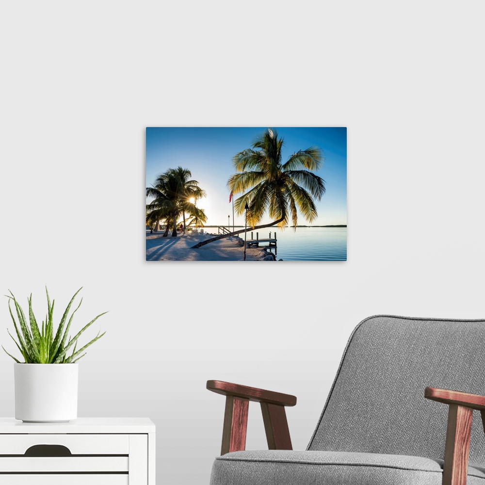A modern room featuring Palm Trees And Jetty, Islamorada, Florida Keys, USA