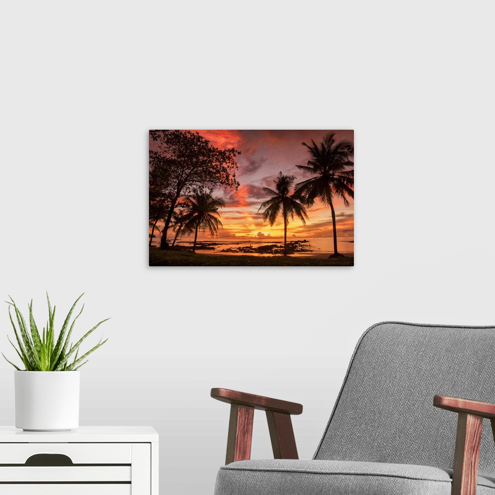 A modern room featuring Palm Trees at Sunset, Khao Lak, Phang-nga, Thailand, Asia.