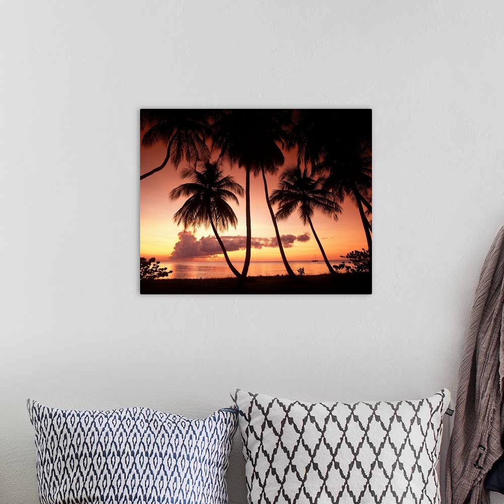 A bohemian room featuring Palm Trees At Sunset, Pigeon Point, Tobago, West Indies, Caribbean