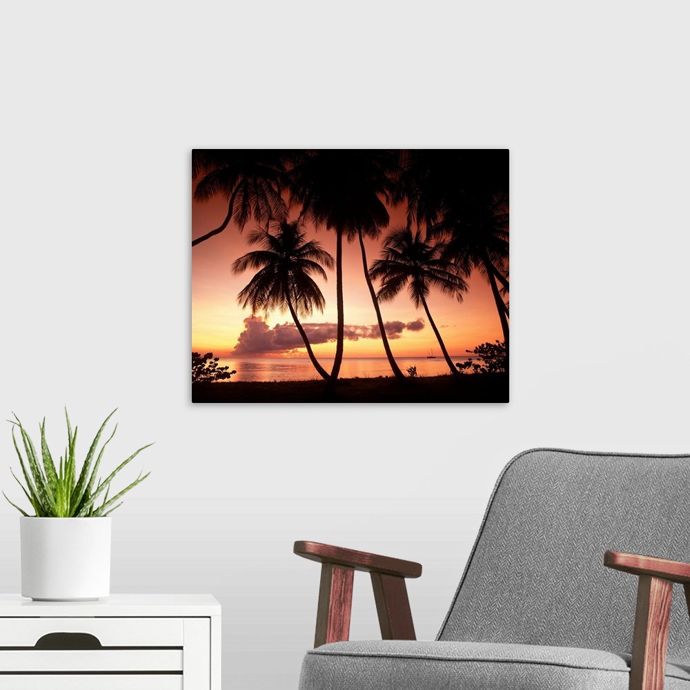 A modern room featuring Palm Trees At Sunset, Pigeon Point, Tobago, West Indies, Caribbean