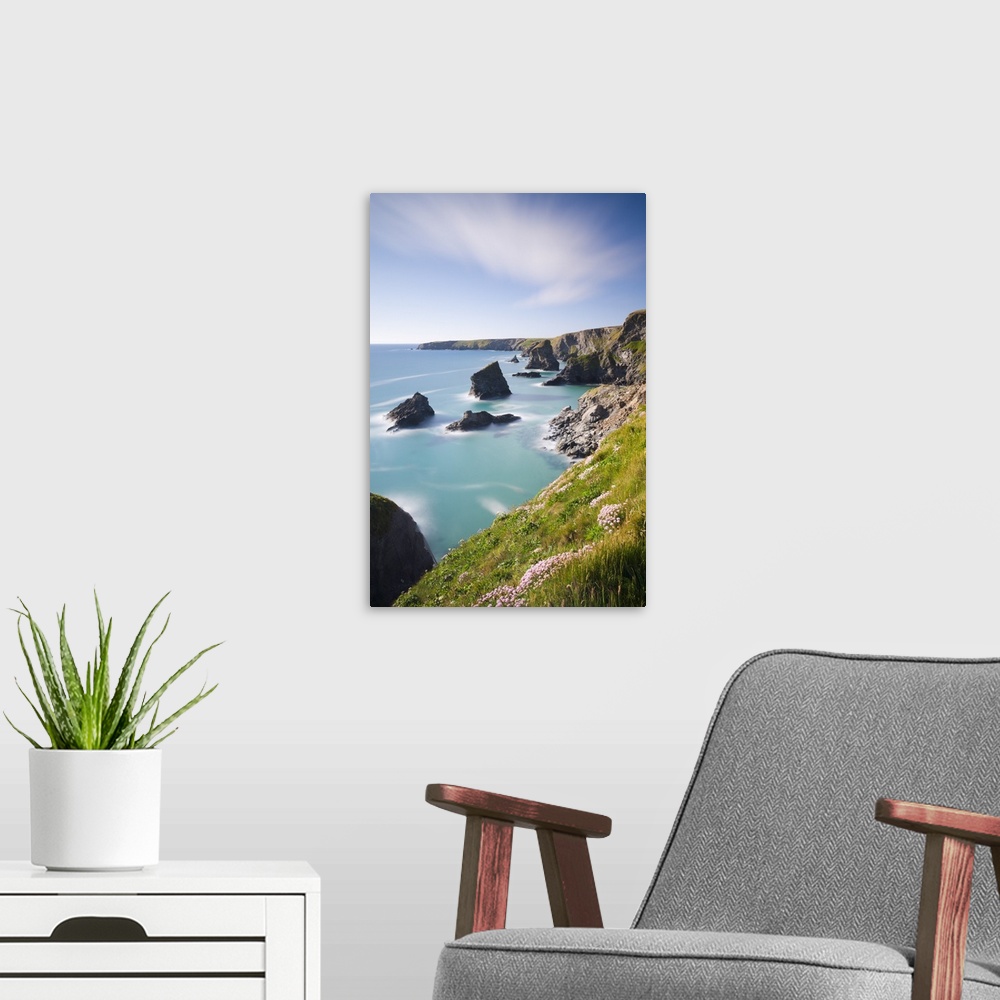 A modern room featuring Pink sea thrift wildflowers on the clifftops above Bedruthan Steps, Cornwall, England. Spring, Ma...