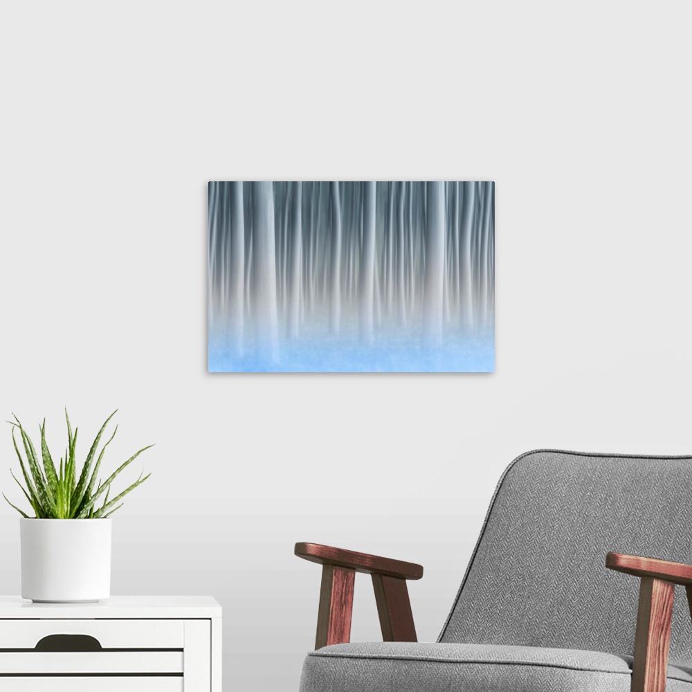 A modern room featuring Plain Piedmont, Turin District, Piedmont, Italy, Abstract Poplars In The Piedmont Plain.