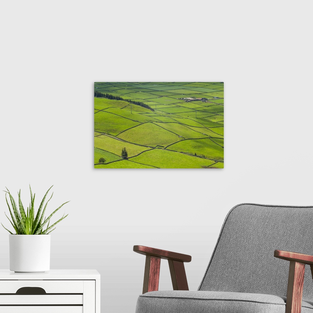 A modern room featuring Portugal, Azores, Terceira Island, Serra do Cume of fields, springtime