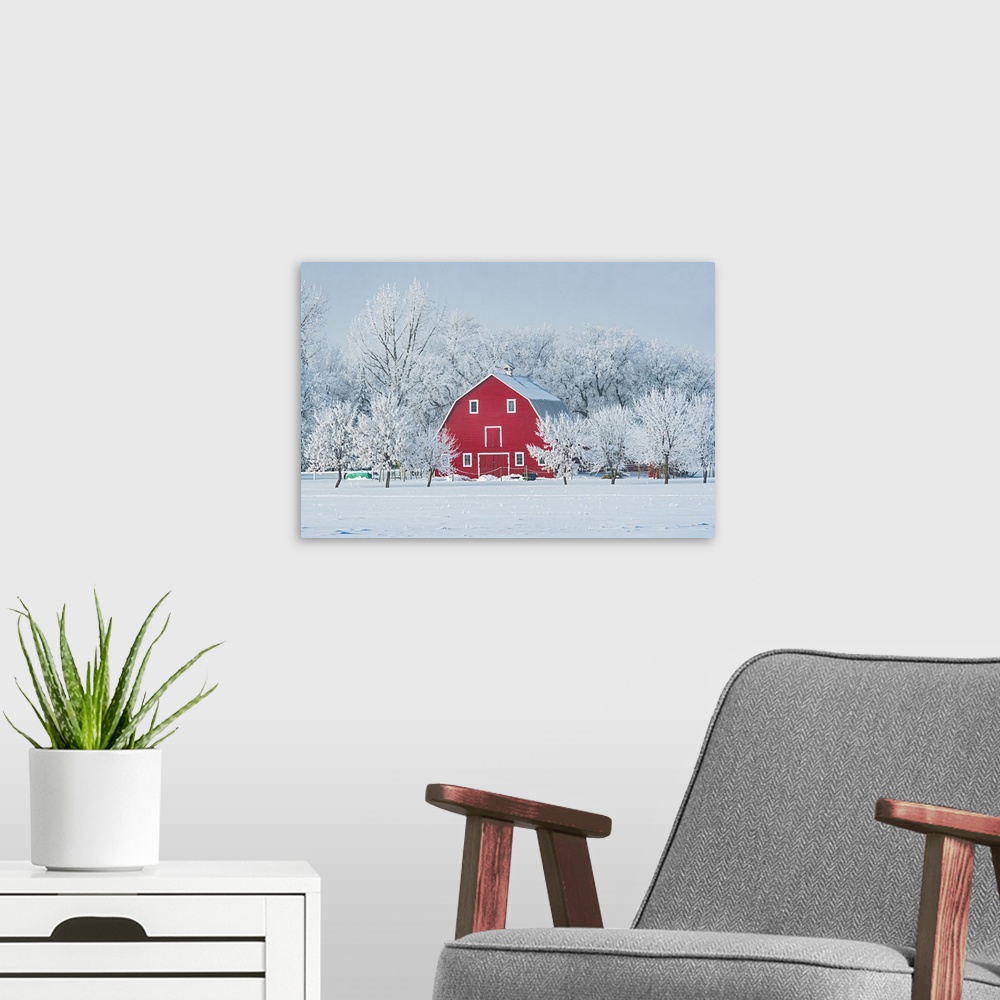 A modern room featuring Red Barn With Rime Ice, Grande Pointe Manitoba, Canada