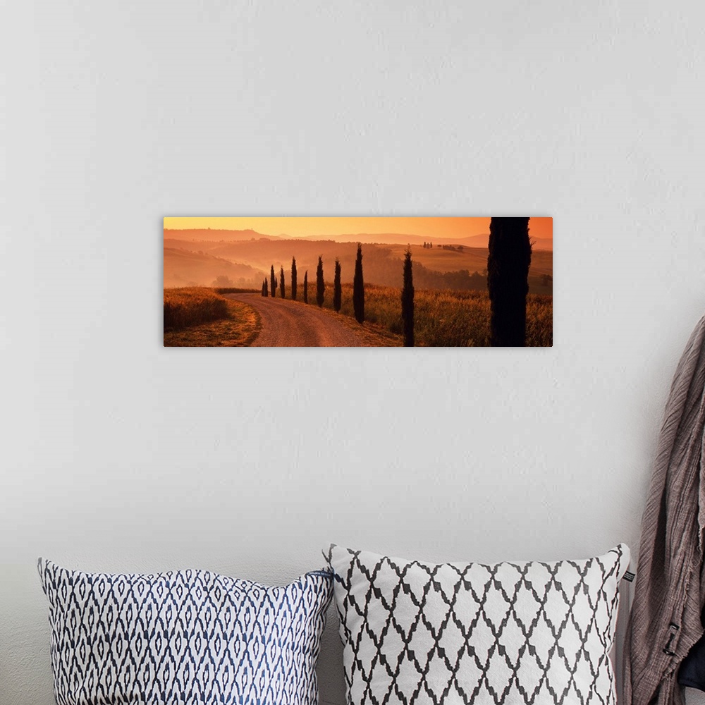 A bohemian room featuring Road And Cypress Trees, Val D' Orcia, Tuscany, Italy