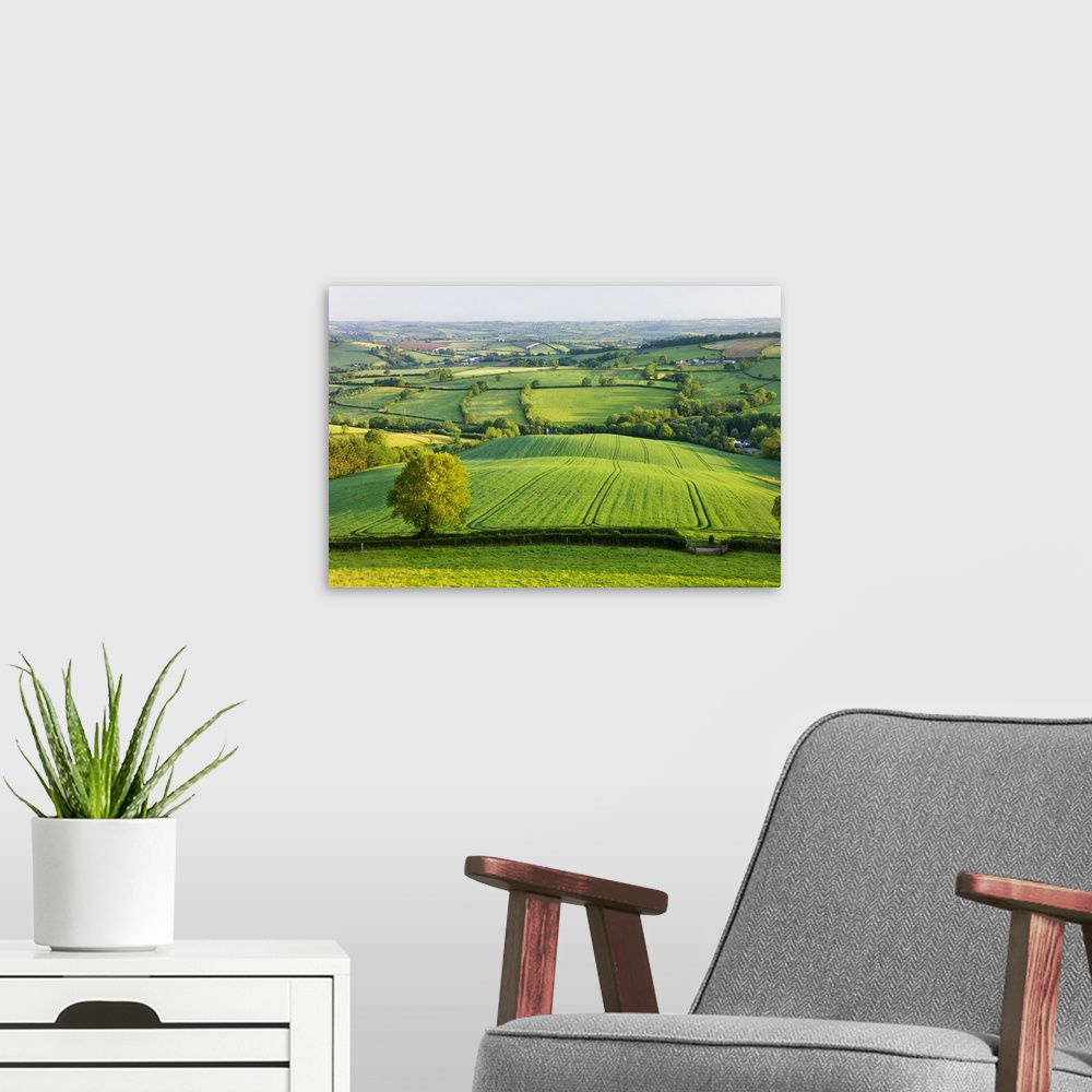 A modern room featuring Rural English summer countryside scenes near Stockleigh Pomeroy, Devon, England. Summer, June, 2009.
