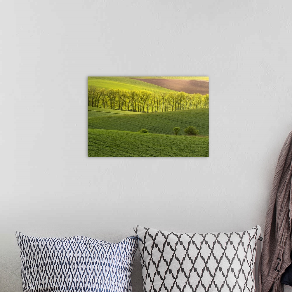 A bohemian room featuring Scenic view of green rolling hills near Kyjov, Hodonin District, South Moravian Region, Moravia, ...
