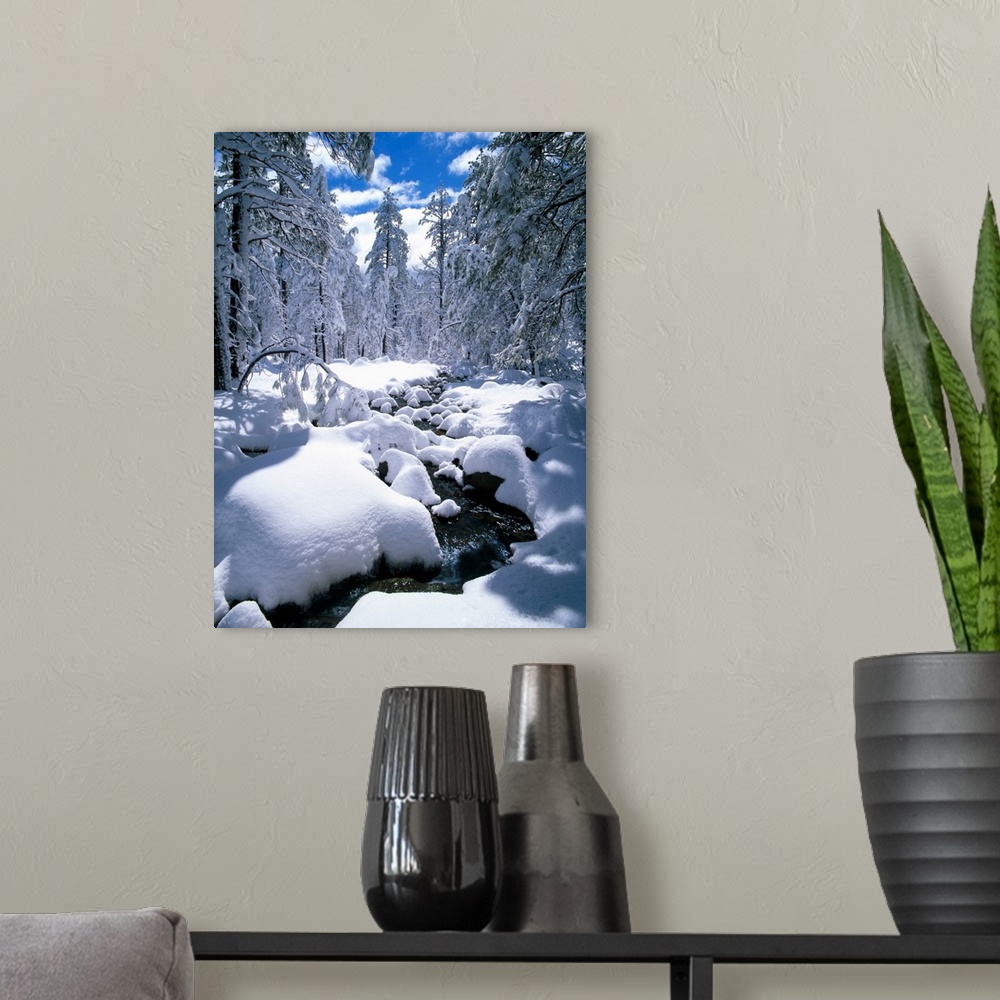 A modern room featuring Snow-Covered Pine Trees And Stream, Flagstaff, Arizona, USA