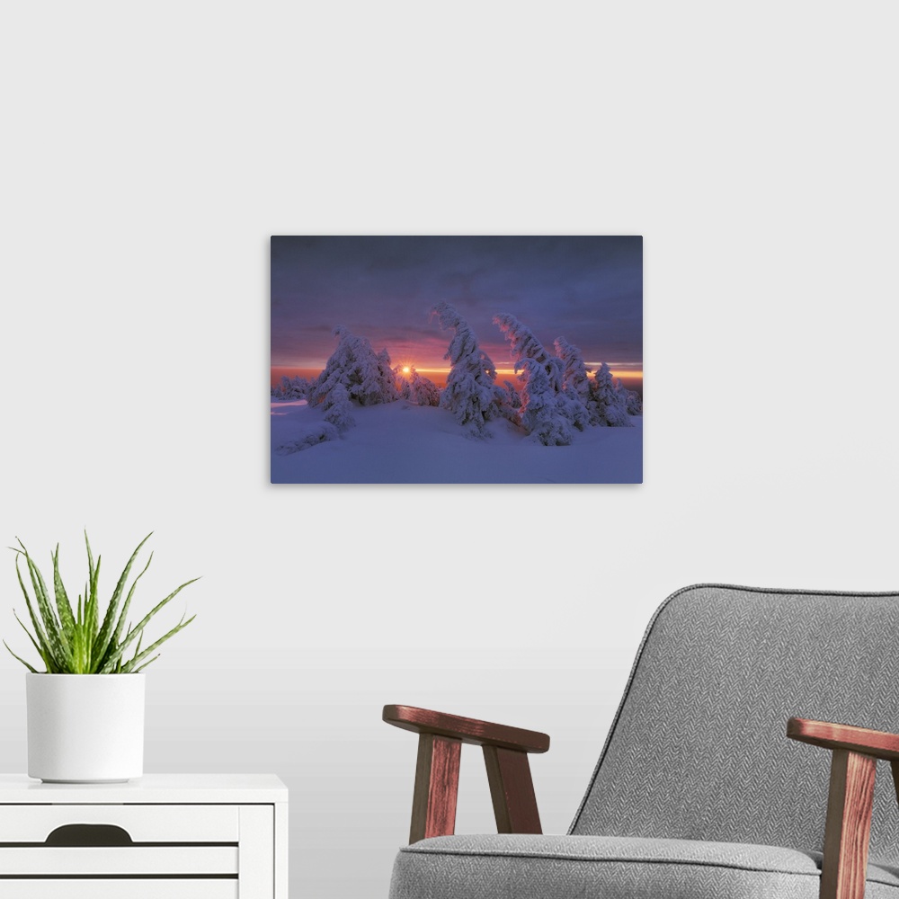 A modern room featuring Snow-covered spruces on the summit of Brocken (1142m) in the morning light, Brocken, Harz Nationa...