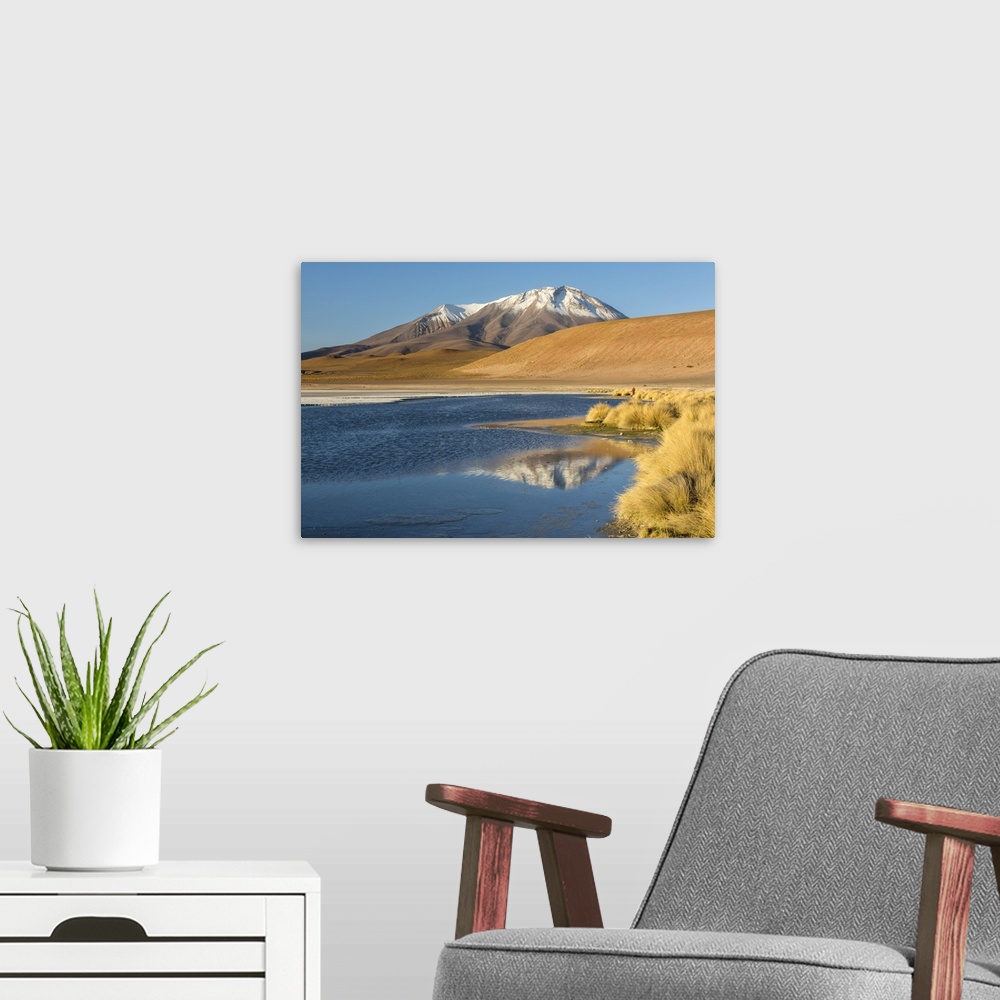 A modern room featuring South America, Andes, Altiplano, Bolivia, Laguna Hedionda with Ollague Volcano in the background