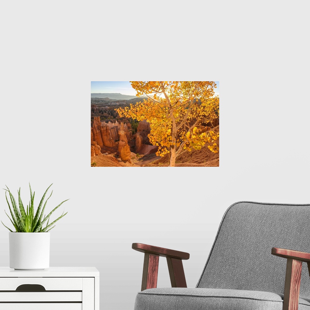 A modern room featuring USA, Southwest, Colorado Plateau, Utah, Bryce Canyon, National Park, UNESCO World Heritage.