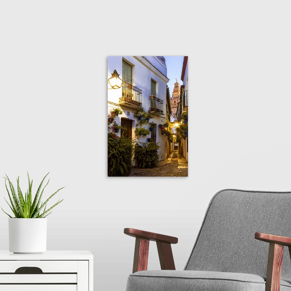 A modern room featuring Spain, Andalusia, Cordoba. Calleja de las flores (street of the flowers) in the old town, at dusk