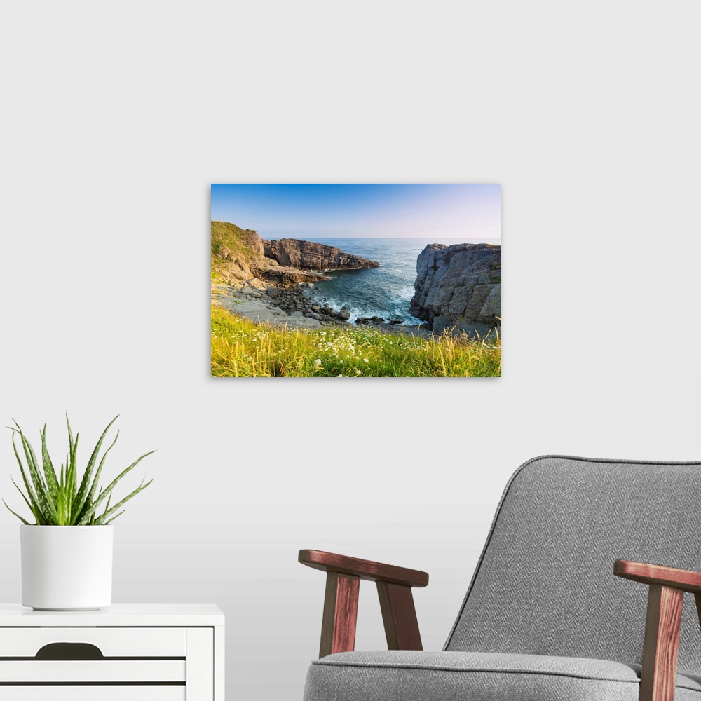 A modern room featuring Spain, Cantabria, Castro-Urdiales, Cove With Wild Flowers.