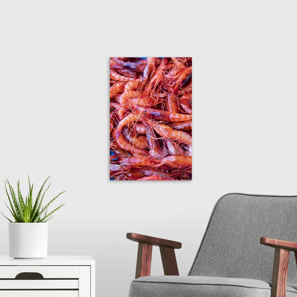 A modern room featuring Spagna, Costa Brava, Food Joan Roca. Tray of freshly caught red prawns destined for auction in th...