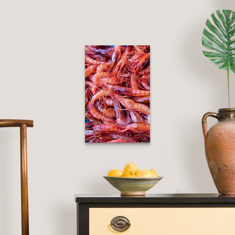 A traditional room featuring Spagna, Costa Brava, Food Joan Roca. Tray of freshly caught red prawns destined for auction in th...