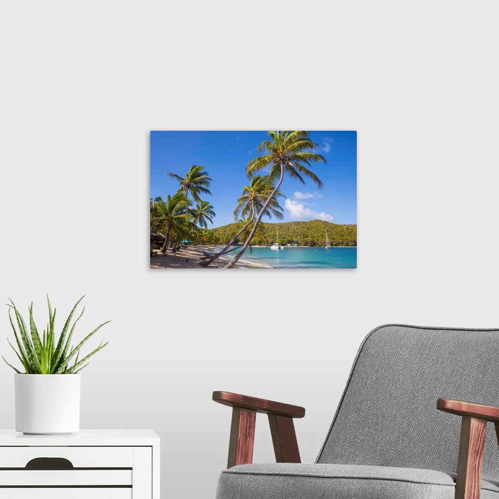 A modern room featuring St Vincent And The Grenadines, Mayreau, Saltwhistle Bay