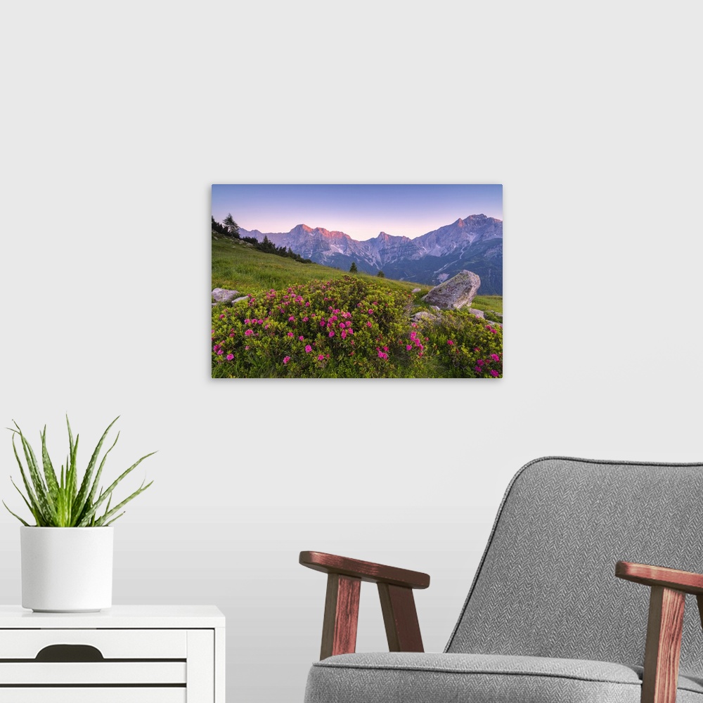 A modern room featuring Summer season in Orobie alps, Zulino pass in Lombardy district, Bergamo province, Italy.