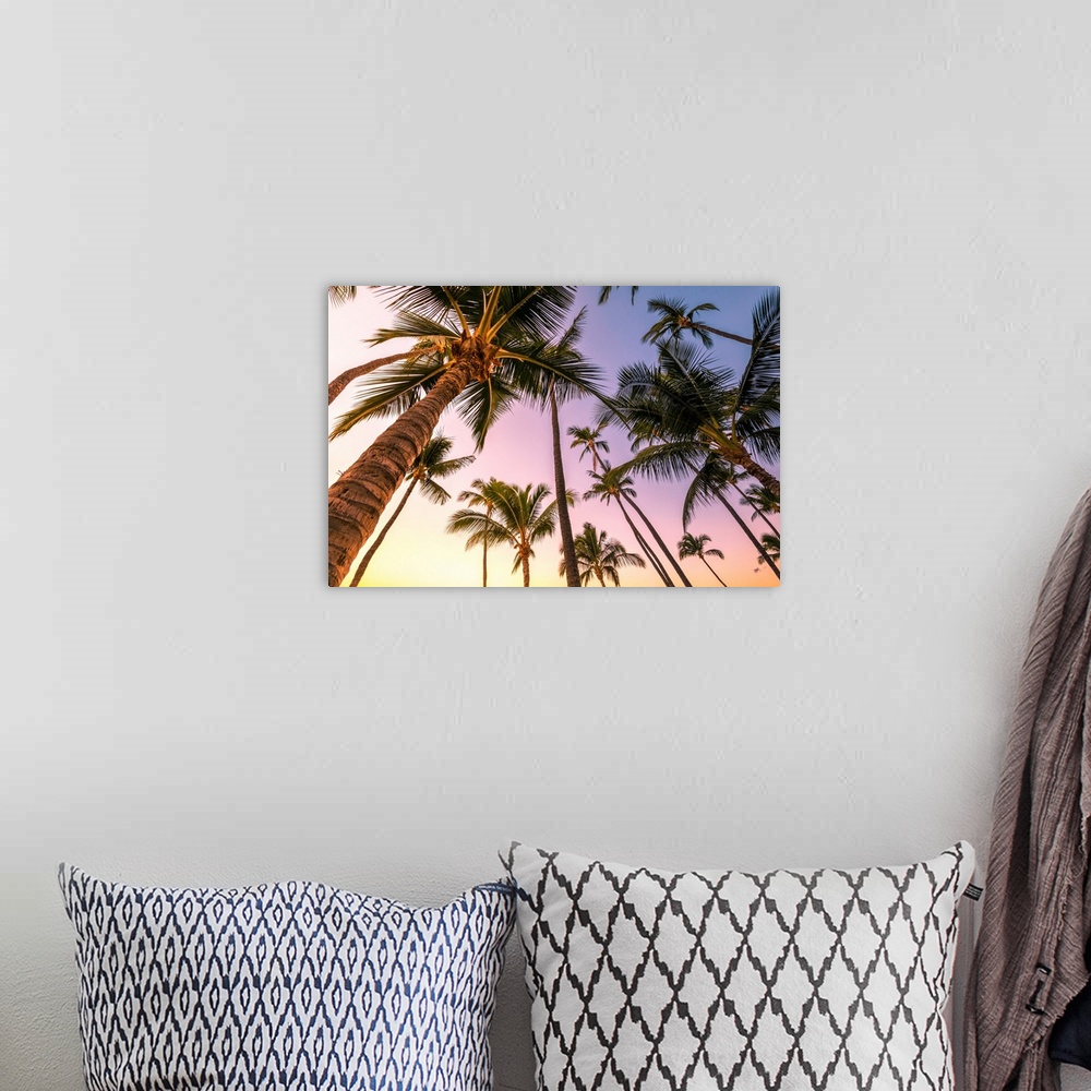 A bohemian room featuring Sunrise In Kihei Beach, Maui Island, Hawaii, USA.