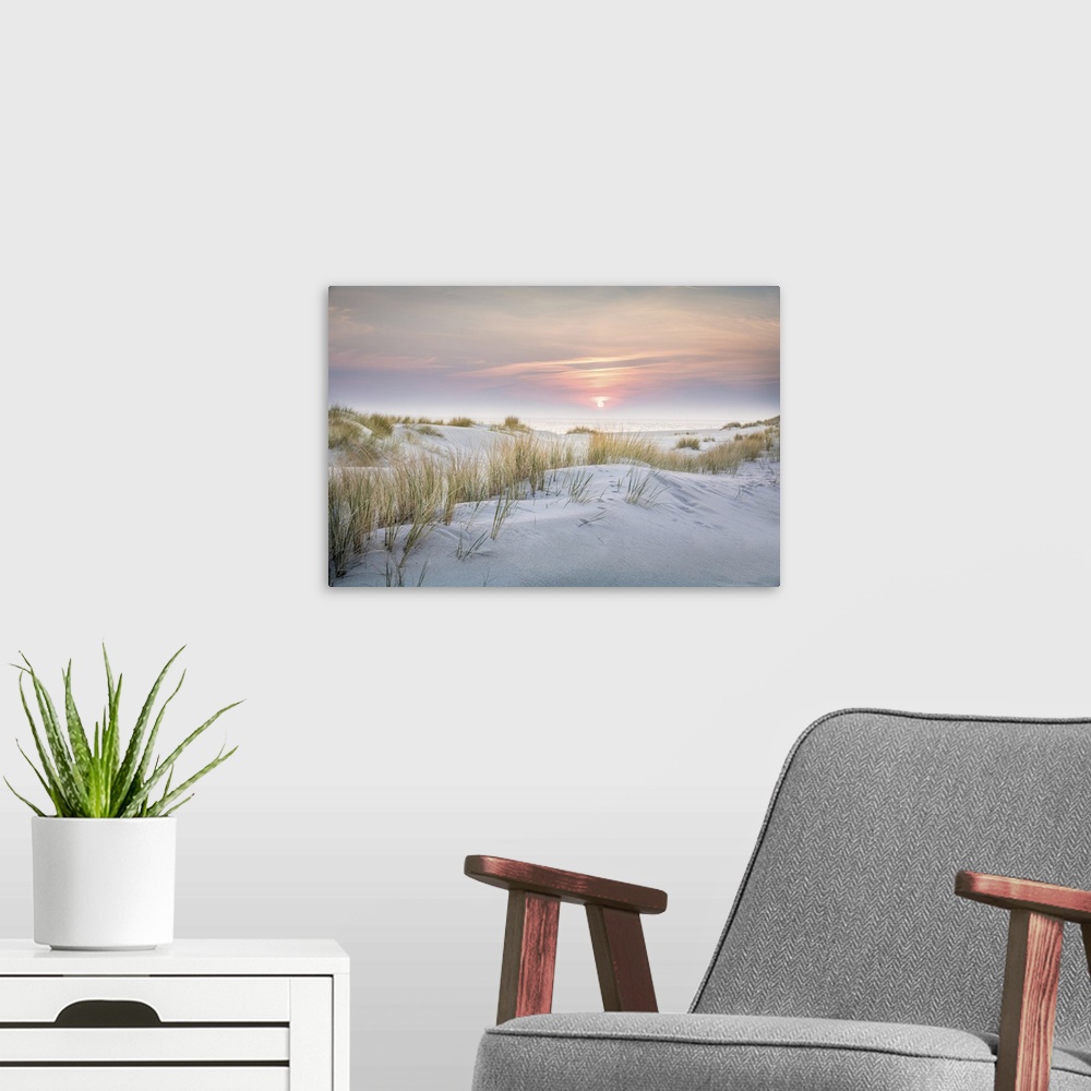 A modern room featuring Sunrise in the dunes of the Ellenbogen nature reserve, Sylt, Schleswig-Holstein, Germany