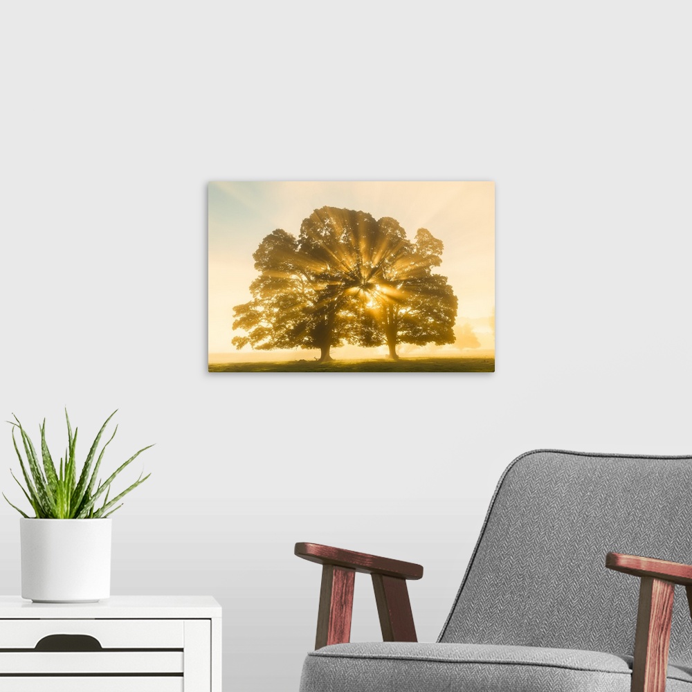 A modern room featuring Sunrise, Usk Valley, South Wales, UK