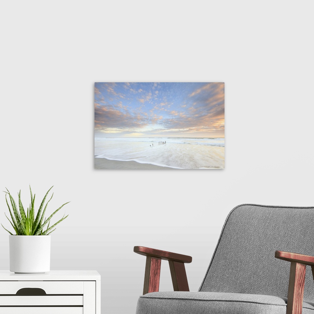 A modern room featuring Sunset at St Clair Beach, Dunedin, New Zealand