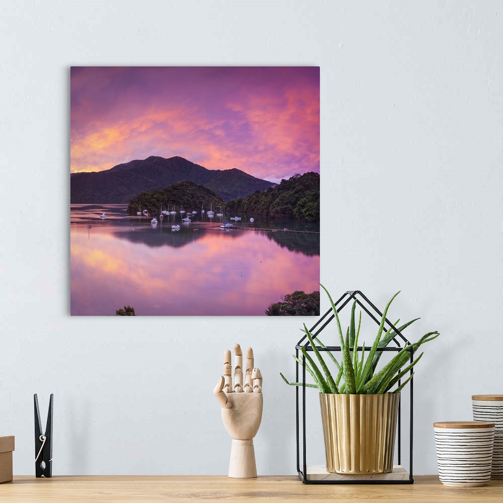 A bohemian room featuring Sunset illuminates the picturesque Ngakuta Bay, Queen Charlotte Sound, Marlborough Sounds, South ...