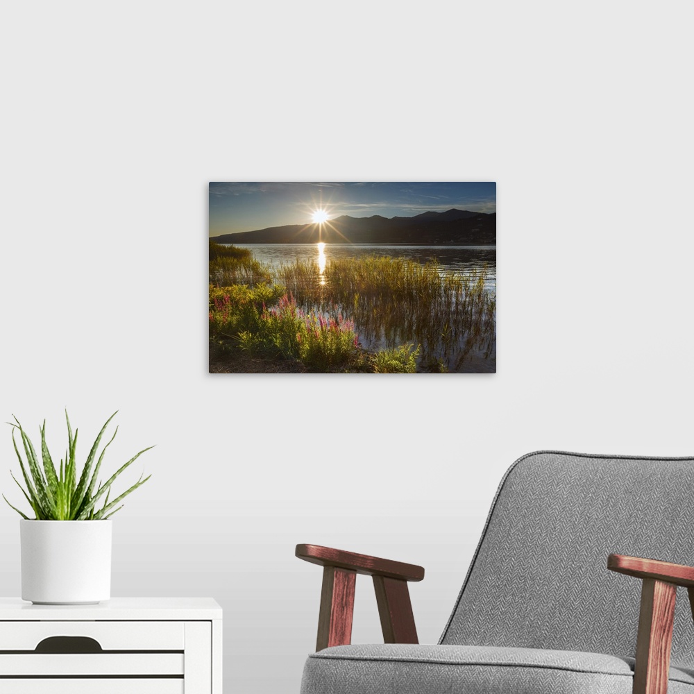 A modern room featuring Sunset on Lake Pusiano from Bosisio Parini, Lythrum Salicaria in the foreground. Como and Lecco p...