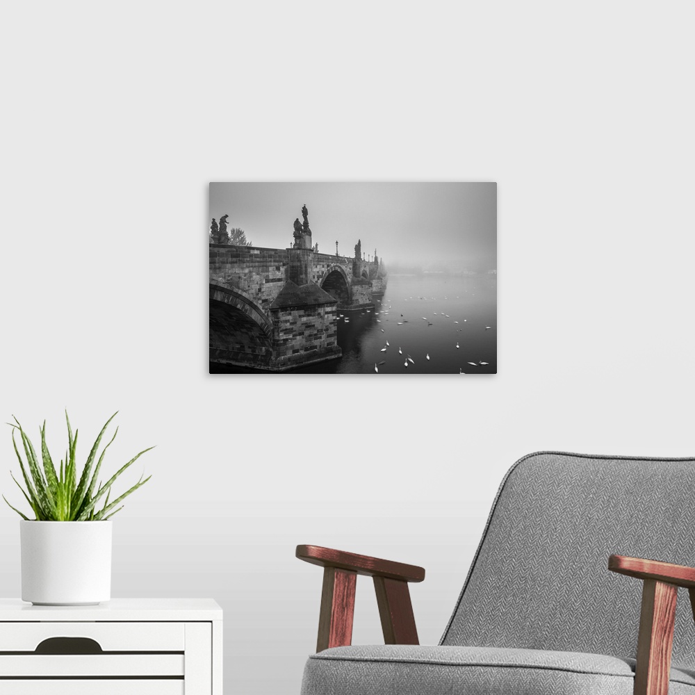 A modern room featuring Swans swimming on Vltava River by Charles Bridge during foggy morning, Prague, Bohemia, Czech Rep...