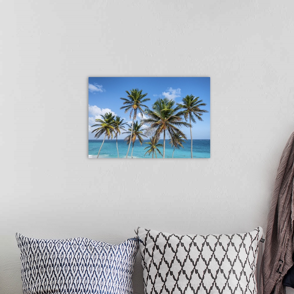 A bohemian room featuring Tall palm trees and turquoise sea in background, Bottom Bay, Barbados Island, Lesser Antilles, We...