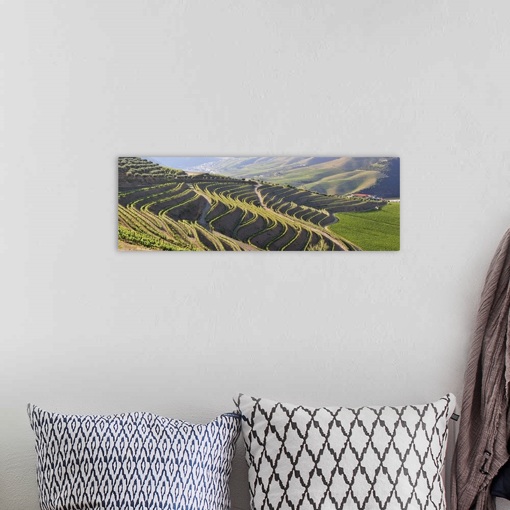 A bohemian room featuring Terraced vineyards in the Douro region, a Unesco World heritage site. Portugal