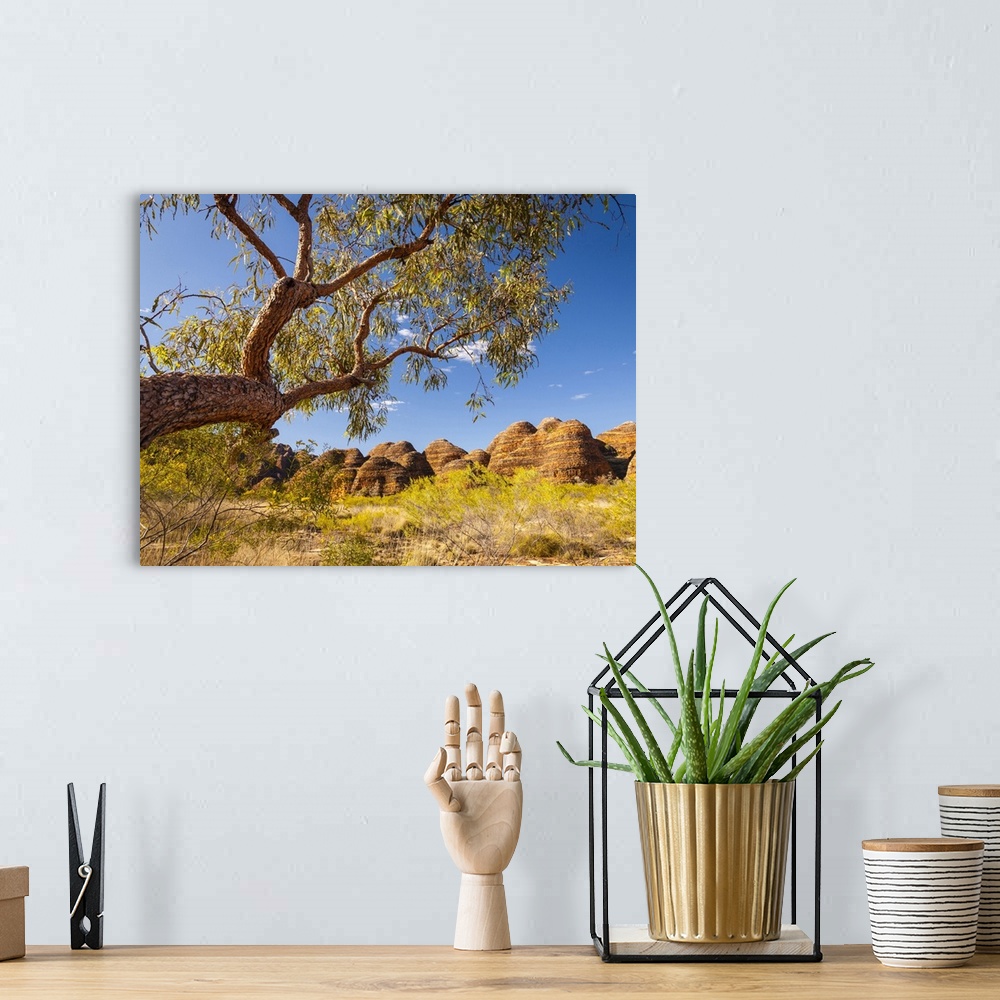 A bohemian room featuring The beehive domes of The Bungle Bungles seen from the Domes Walk in Purnululu National Park. Purn...
