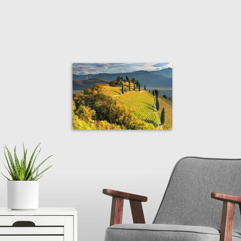 A modern room featuring Termeno/Tramin, Province Of Bolzano, South Tyrol, Italy, Europe. The Hill Of Kastelaz With His Vi...
