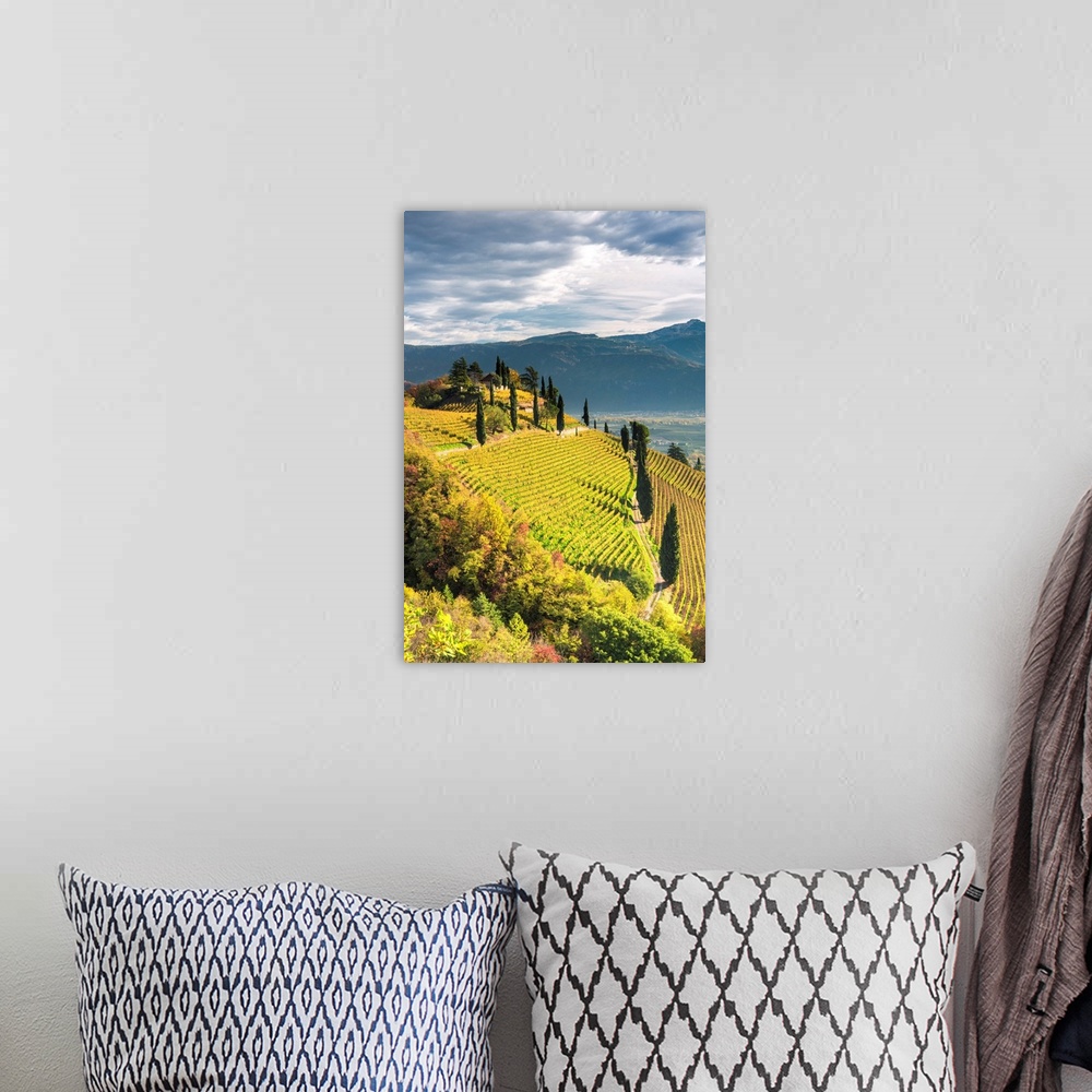A bohemian room featuring Termeno/Tramin, Province Of Bolzano, South Tyrol, Italy, Europe. The Hill Of Kastelaz With His Vi...