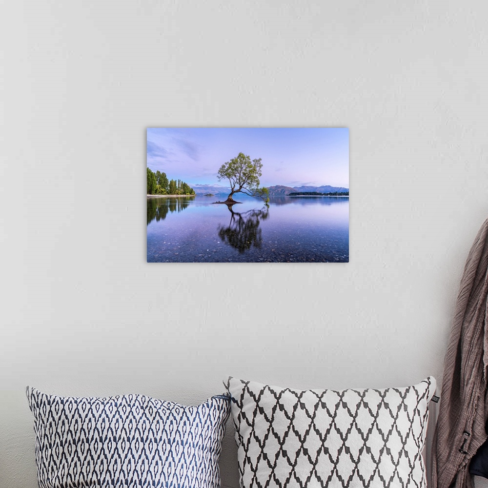 A bohemian room featuring The lone tree in Lake Wanaka at dawn. Wanaka, Queenstown Lakes district, Otago region, South Isla...