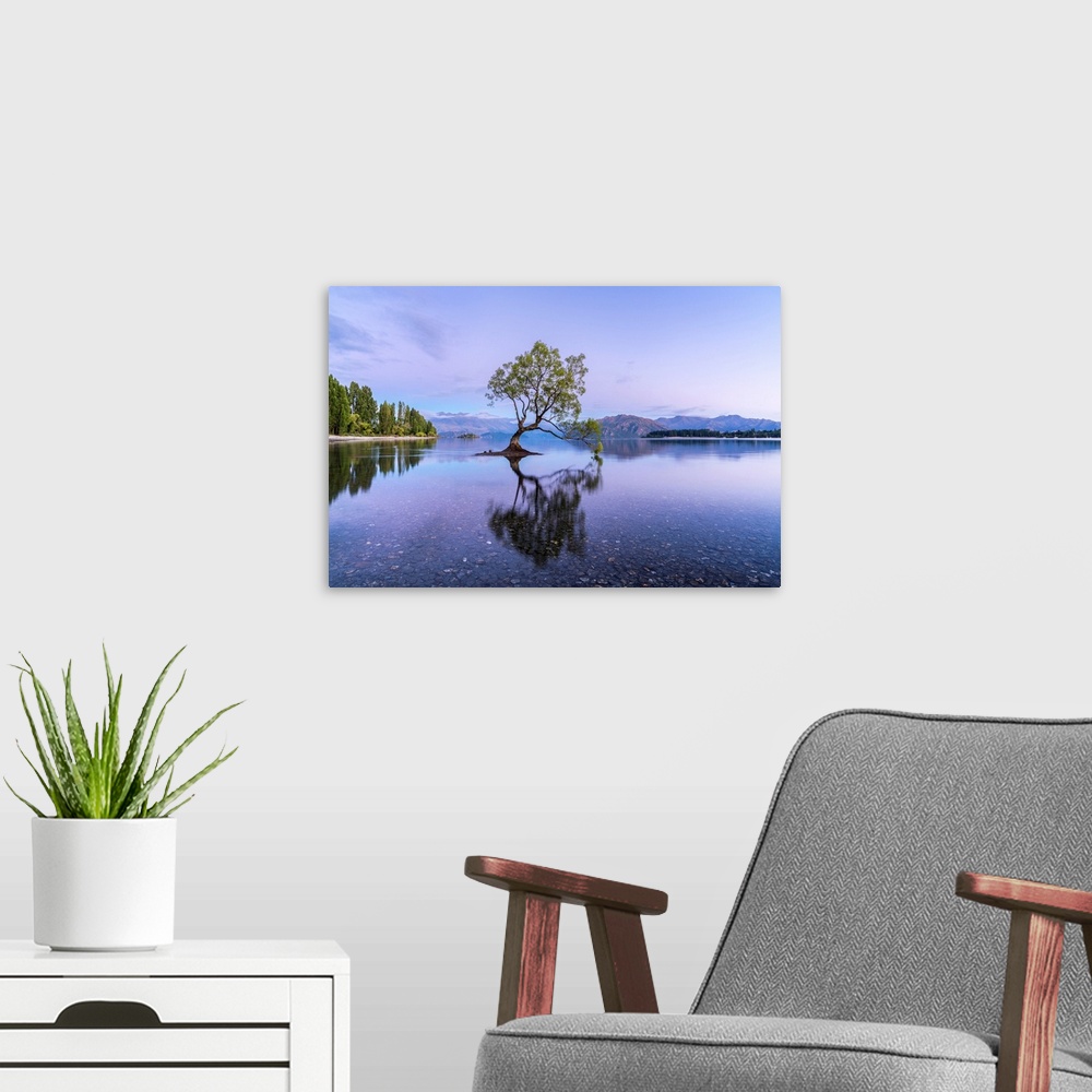 A modern room featuring The lone tree in Lake Wanaka at dawn. Wanaka, Queenstown Lakes district, Otago region, South Isla...