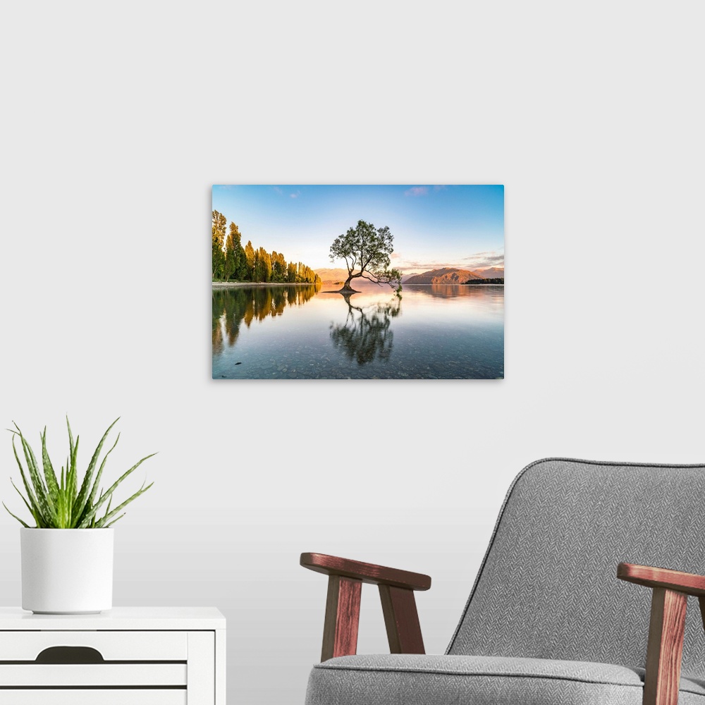 A modern room featuring The lone tree in Lake Wanaka in the morning light. Wanaka, Queenstown Lakes district, Otago regio...