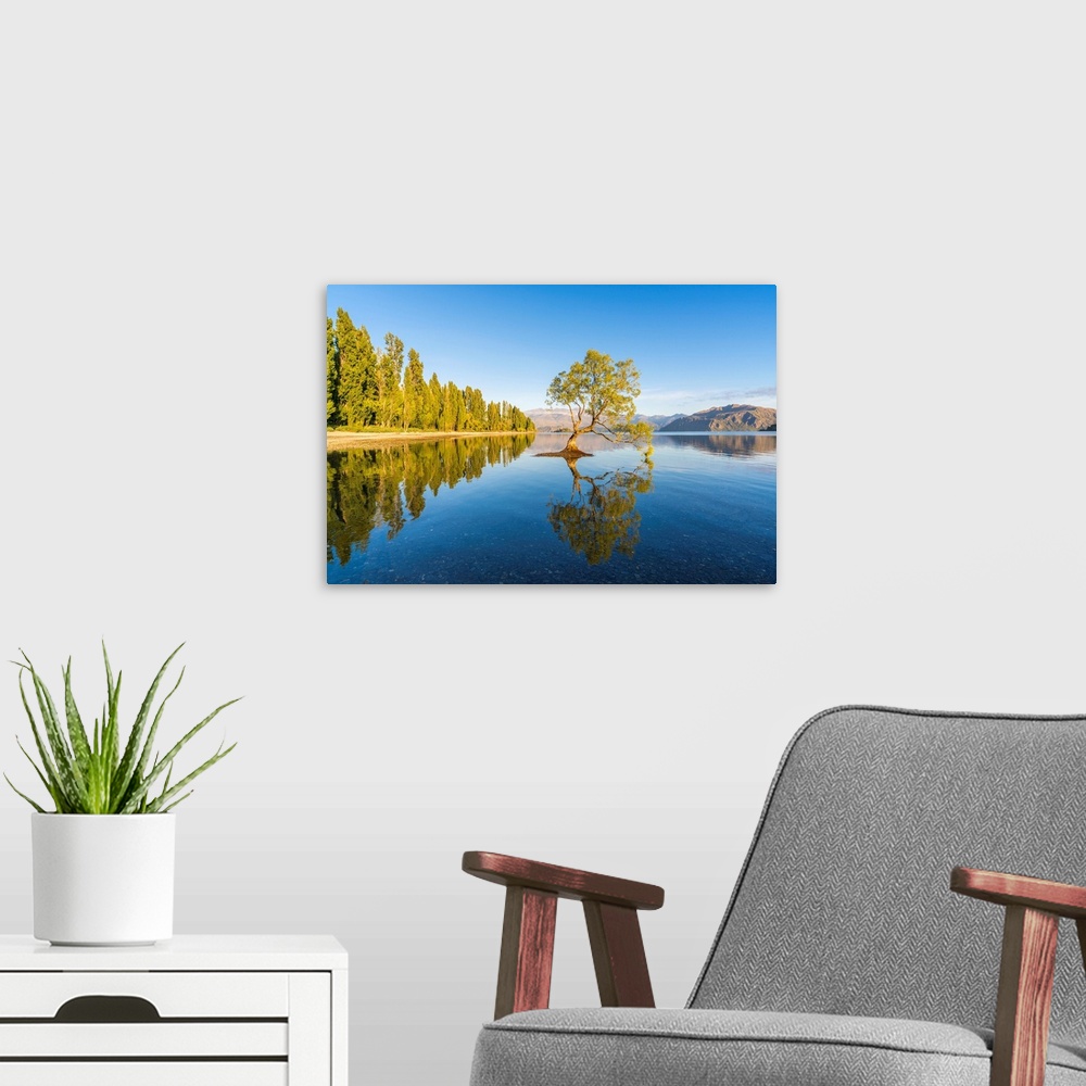 A modern room featuring The lone tree in Lake Wanaka in the morning light. Wanaka, Queenstown Lakes district, Otago regio...