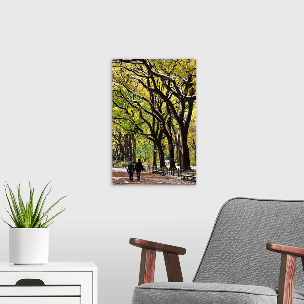 A modern room featuring The Mall and Literary Walk with American Elm Trees forming the avenue canopy, New York, United St...