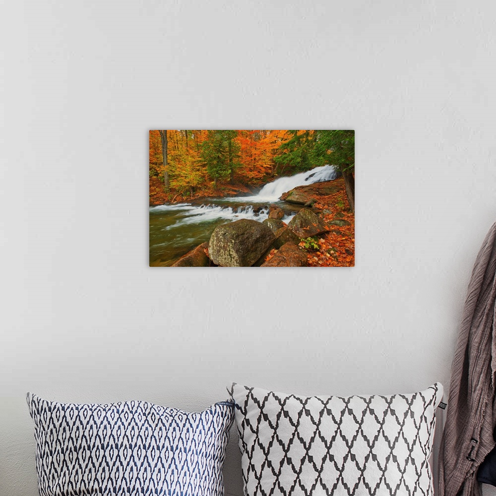 A bohemian room featuring The Skeleton River At Hatchery Falls In Autumn, Rosseau, Ontario, Canada