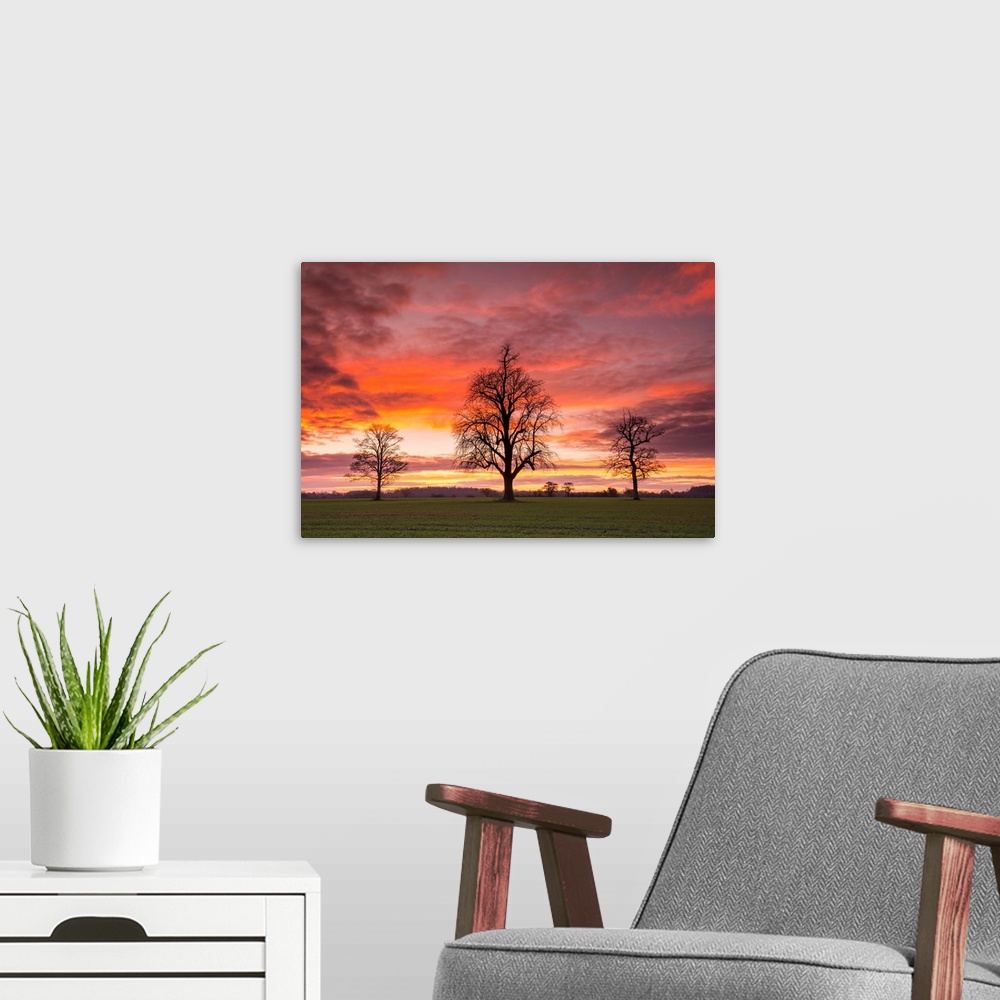 A modern room featuring Three Trees At Sunrise, Norfolk, England