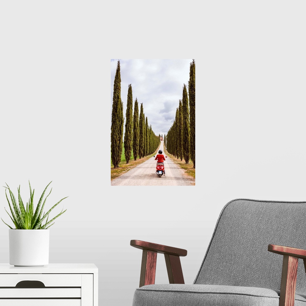 A modern room featuring Tourist riding an italian vespa motorcycle in the countryside. Val d'Orcia, Tuscany, Italy (MR) (PR)